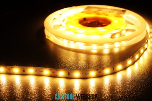 MW Power professional LED strip 60LED/m 12W/m 24V 2800K-3000K warm white IP64 5m