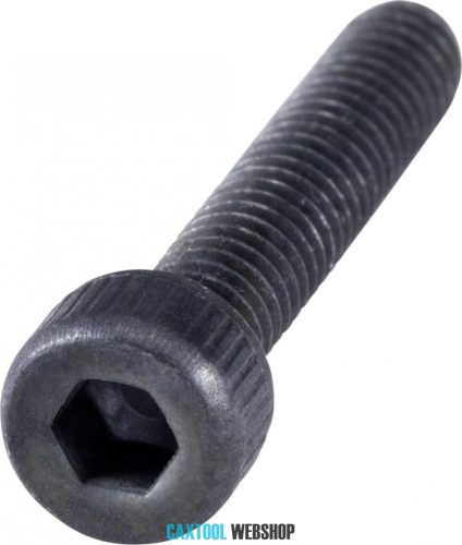 Hexagon socket head cap screw DIN 912 8.8 DSB M6x25